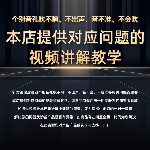 东方鼎（EAST TOP）EASTTOP演奏者口琴12孔48音半音阶钛格银色ETP-12