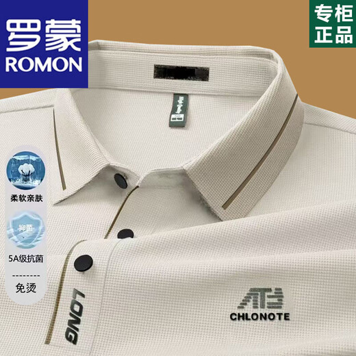 罗蒙（ROMON）高端男士长袖t恤2025春秋薄款中年爸爸翻领POLO打底衫秋装上衣服 16823浅绿长袖 XL 175【建议130-155斤】