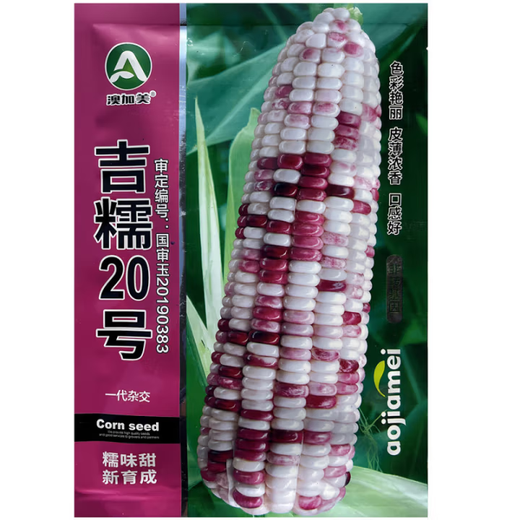 White, sweet and waxy corn seeds, high-yielding, sown in all seasons, white and waxy corn, non-transferable, national-approved, farmers’ super-sweet and waxy corn seeds, Xinnuo 628 corn seeds, original 200g, 1 bag