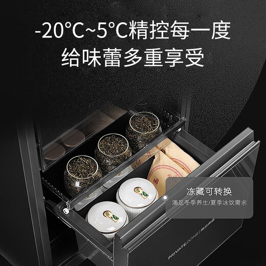 Casarte 251-liter flat embedded ice bar bar cabinet living room home three-temperature zone office refrigerator large space wide variable temperature air-cooled frost-free 251WLC4DG1U1 gray dual-temperature zone 251L