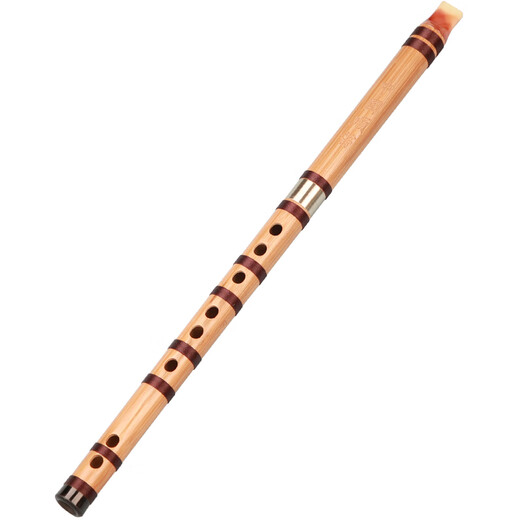 Qinyin Grund- und Mittelschüler Schüler Recorder ohne Membrane 6 Löcher FG -Melodie Chinesische Flöte Sechs Löcher Kinderleistung Anfänger Ethnische Musikinstrumente Vorschläge: Im Allgemeinen kaufen Sie FG im Schulunterricht