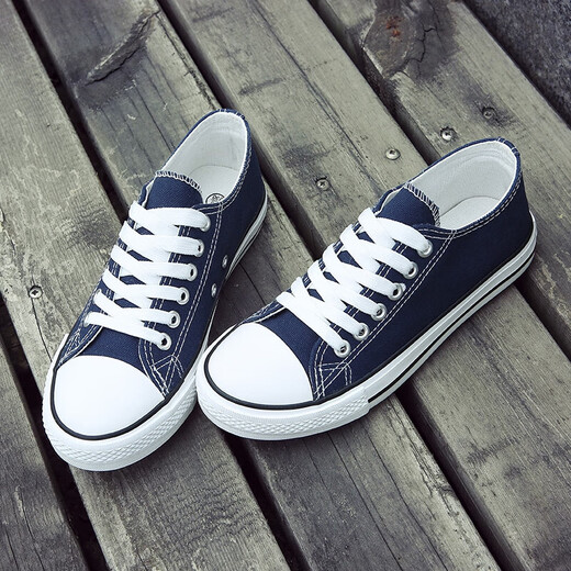 Europäisches Pastoralpaar Leinwandschuhe für Männer 2025 Sommer New Low Top Casual Sports Schuhe für Männer trendy und vielseitig (PJ) 6621 Blue 41