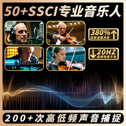 圣维斯SW100手工实木演奏小提琴初学者儿童成人考级入门比赛乐团 MATTE（哑光工艺） 4/4身高150CM以上