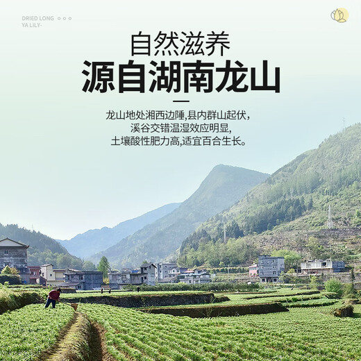 Weishui Honglongya Lily trocken 200g Fett Donglai Gleiches Stil Speziales neues Produkt Lily Dry Tremella Samensuppe Longan Wolfberry Suppe