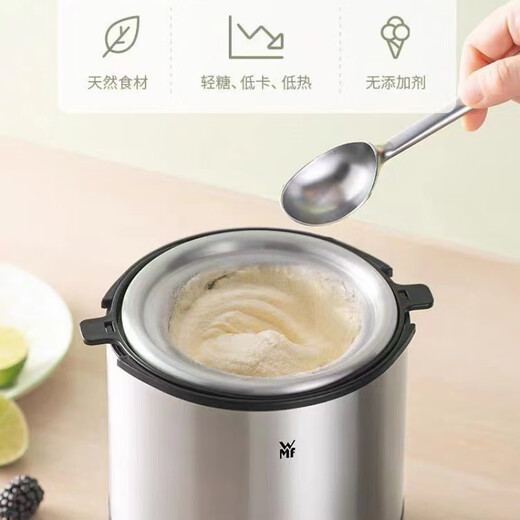 Pang Donglai Quality Ice Cream Machine Cone de ménage DIY Machine de crème glacée à fruits électriques allemands maison Machine à cône de yogourt entièrement automatique [110V PULLE RÉGULATION US] Silver Black 16cm * 17cm