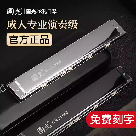 Guoguang Mundharmonica 24-Loch Polyphonische C-Tune-Anfänger und Kinder Erwachsene Selbststudie Eingangsorganinstrument 24-Loch Polyphonische C-Tune Schwarz