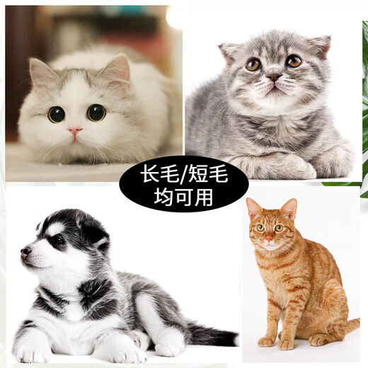 Suican pet flea comb for cats and dogs, universal fine-toothed comb with grate, long and short hair beauty facial comb, ultra-dense fine-toothed flea comb to remove lice and eye feces, fine-toothed flea comb, multi-functional 4-piece set