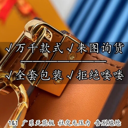 Presbyopia carryall small tote bag ivy horn baguette postman nano pillow all in bb bucket bag