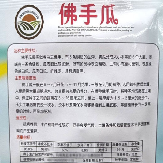 Shop Chayote Early-maturing Extra Large Chayote Vegetable Climbing High-yielding Disease-Resistant Perennial Melon Affordable Price Good Yield-80 Count-Net Seeds Chayote Seeds