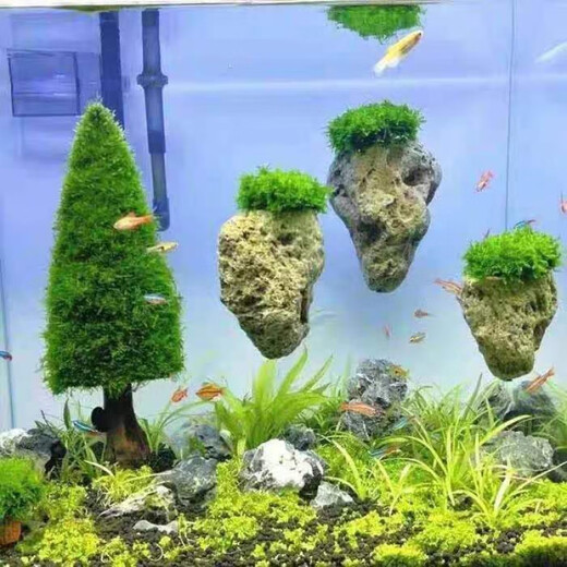 Runhuanian fish tank water plant landscaping stone Moss pumice stone Avatar suspended stone lazy water plant waterscape fish and shrimp avoidance ornaments suspended stone 3-5 cm 1 piece bare stone