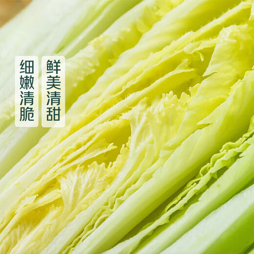 Regional delicacies: Red Bamboo Bamboo Cabbage, about 600g