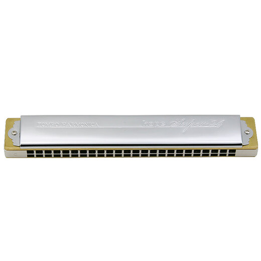 Tongbao harmonica official 6624S rest modified electroplated metal copper grid adult 24-hole polyphonic harmonica B key Pro electroplated seat plate