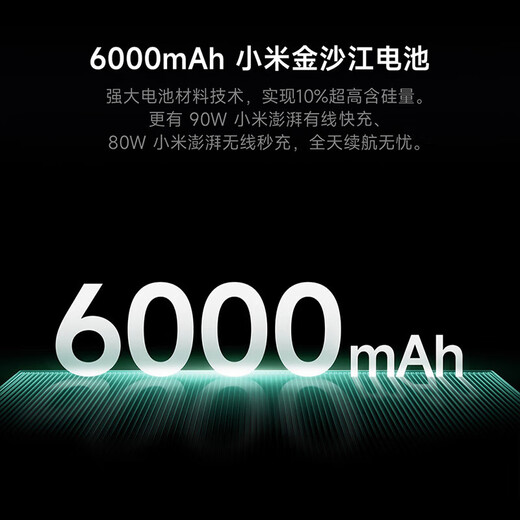小米15Ultra 徕卡2亿长焦 6000mAh 金沙江电池 2K阳光屏 IP68防尘防水二手手机 经典黑银 99新 16GB+512GB