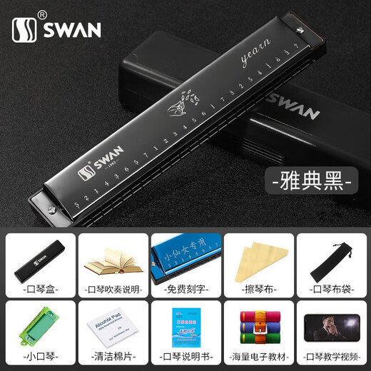 天鹅（SWAN）24孔单音口琴c调儿童小学生初学者入门带音符简谱标注口风琴 24孔 单音c调银色+初学全套品