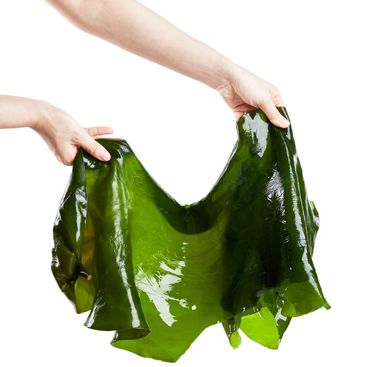Xiapu fresh kelp, kelp silk, kelp head, hot pot stew and cold salad, salted whole kelp, 5 Jin Jin equals 0.5 kilogram (2500g)