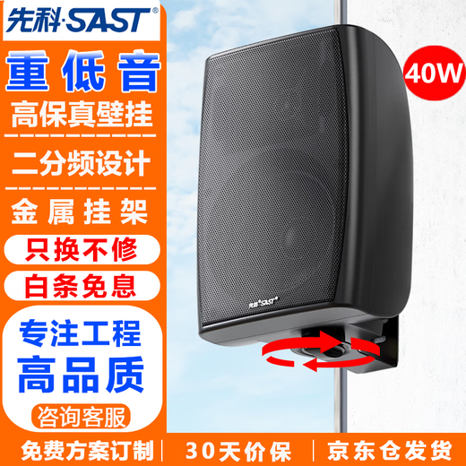 先科（SAST）DW40壁挂式音响音箱喇叭 40W无源需连功放机店铺商用工程会议室家用餐厅公共广播背景音乐 4英寸	