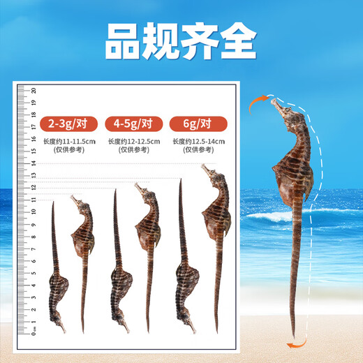
Huarui Tiancheng Haima Medicinal Materials [CAWC Certification] A pair of dry goods refined, warm kidney, male nourishing and nutrition combination soaked wine medicinal materials [Belly hippocampus] About 6g/bag-male and female pairing