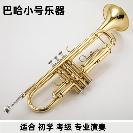 巴哈新款降B调巴哈小号乐器TR-500金色镀银磷铜初学考级演奏 金色 初学小号