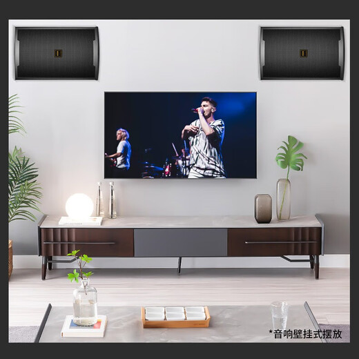 Koda Joy 1 professional stage audio 12-inch large conference room ktv private room outdoor event wedding passive speaker
