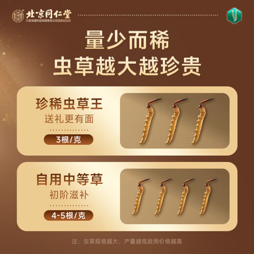 Beijing Tongrentang Cordyceps sinensis [large Cordyceps king] 1g about 3 first stubble unbreakable grass high-end tonic products
