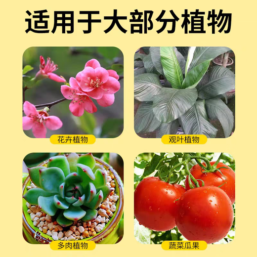 19-19-19 Sanan Compound Fertilizer General Compound Fertilizer Flower Fertilizer Fruits and Vegetables Base Fertilizer Stanley Fertilizer Flow Oil Compound Fertilizer 40Jin Jin is equal to 0.5 kg (Fat De Flow Oil) Stanley