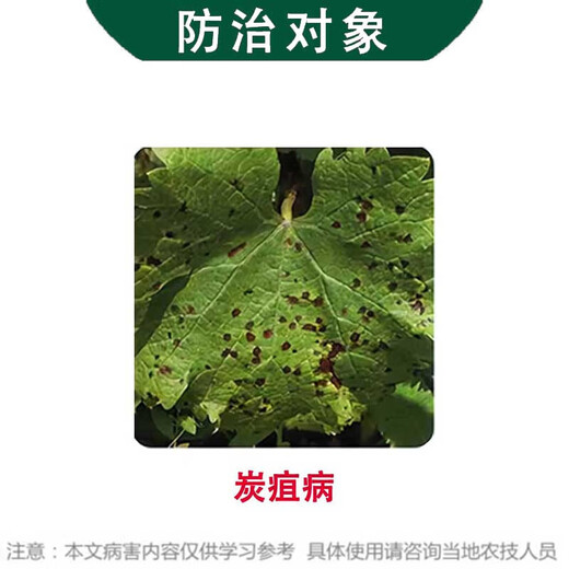 Hulian Plant Protection 40% difenoconazole suspension watermelon anthracnose pesticide fungicide 1000g*1 bottle
