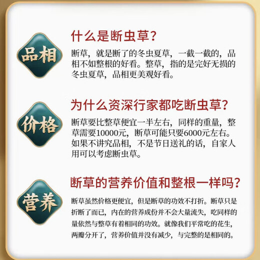 冬虫夏草大断草藏区精品断虫草自食优惠当天发货2025头期断虫草 藏区精品大断草10克装