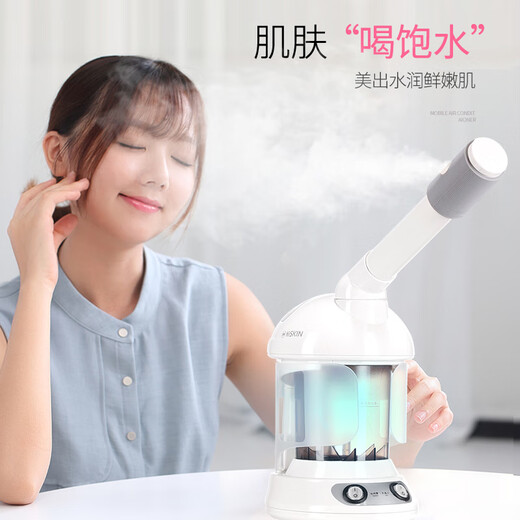 Golden Rice hot spray facial steamer nano ion hot and cold dual spray sprayer facial steamer large spray large capacity hot spray instrument beauty salon facial beauty instrument open pores steam cleaning machine light gray large spray large capacity single thermal spray facial steamer