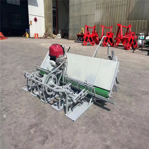 Step-by-step hand-held rice transplanter, 4 rows and 6 rows, rice seedling transplanter, hand-push rice planting machine, ride-on 6 rows