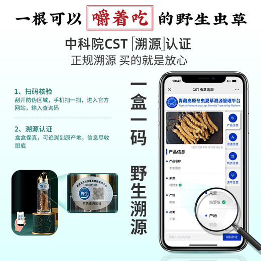 
Guokun Hall [Wild traceable] Guokun Hall, Nagqu, Tibet, Wild Cordyceps sinensis dry goods Cordyceps gift 6-7 roots/gram 120 roots gift box