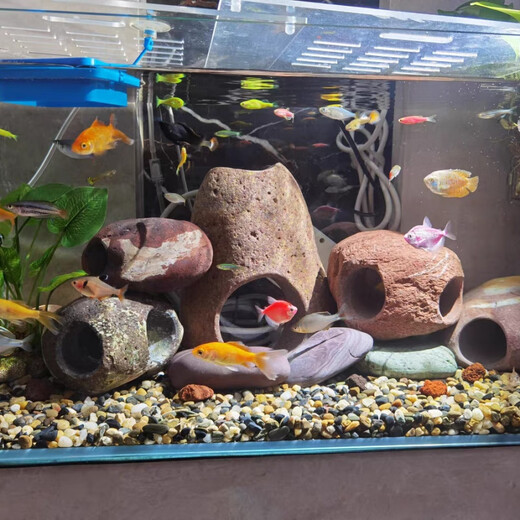 Runhuanian real stone fish nest hiding house fish tank shrimp aquarium landscaping decoration turtle sun terrace hiding hole breeding house six holes through the original stone production outer diameter 5.5-8 cm