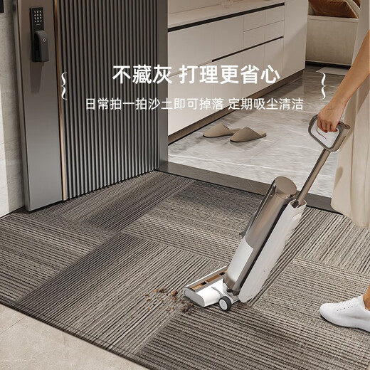 德伦卡芙（Derenkafu）品牌入户门地垫2024新款高级感进门门口脚垫防滑门外垫子玄关地毯 静波竖版15926 120cm*180cm[升级9代耐脏法尔曼