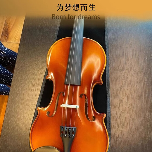 追梦花法国追梦花官方旗舰店小提琴实木手工成人考级儿童初学者专业乐器 古典红[1/8]身高115CM左右适用