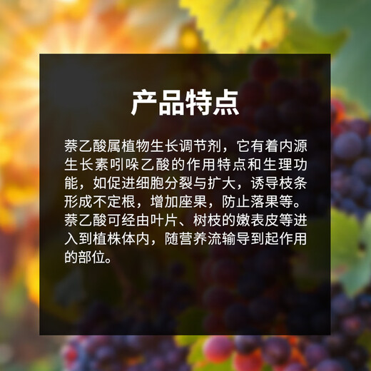 Guoguangshenghe 20% naphthalene acetic acid succulent rose seedlings, fruit tree cuttings, transplanting rooting powder, plant growth regulator