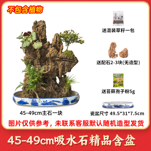 Shiguang Xiaozhan's high-quality water-absorbing stone bonsai fish pond rockery micro-landscape decoration natural rockery stone landscaping original stone high-quality 45-49cm water-absorbing stone with basin