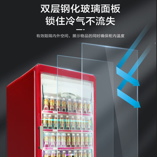海容展示柜冷藏冰箱饮料冰柜商用水柜风冷无霜800/640L带灯带锁孔 风冷无霜440L 尺寸660*695*1990mm 0x0x0cm