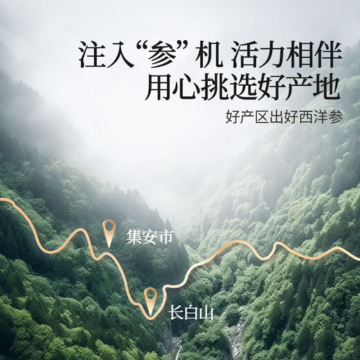 同仁堂品牌 北京同仁堂西洋参枸杞礼盒送长辈送父母母亲节礼品礼物
