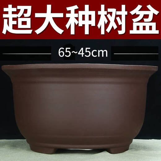 特大号紫砂花盆种树老桩60cm以上超大种发财树铁树陶瓷盆 854大中两个