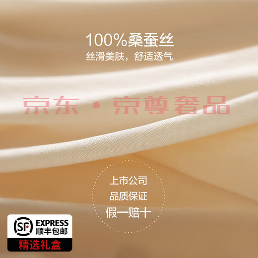 FENTENGG轻奢品牌内衣女双面桑蚕丝 舒适透气 真丝无钢圈透气舒适无痕文 肤色1105（有背扣） M