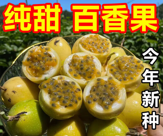 Passion fruit seeds year-round high temperature resistant perennial golden egg fruit seeds fruit non-living package can be planted nationwide 57 seeds + 16 seeds + A-grade chemical fertilizer