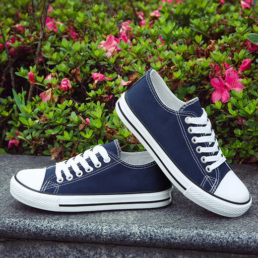 Europäisches Pastoralpaar Leinwandschuhe für Männer 2025 Sommer New Low Top Casual Sports Schuhe für Männer trendy und vielseitig (PJ) 6621 Blue 41