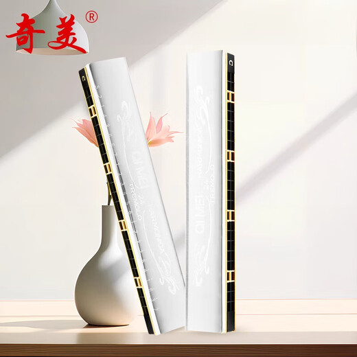 奇美老款口琴24孔回声28孔重音复音学生专用初学者长辈中老年人自学 28孔重音口琴银色标配