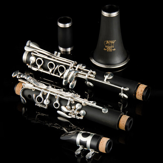 Golden sound clarinet instrument B-flat black tube, beginners' professional grade performance JYCL-W100