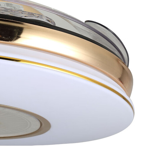 
Bronze Age Invisible Ceiling Fan Light Fan Light Living Room Dining Household Simple Modern Fan Chandelier with Fan Lighting 9923