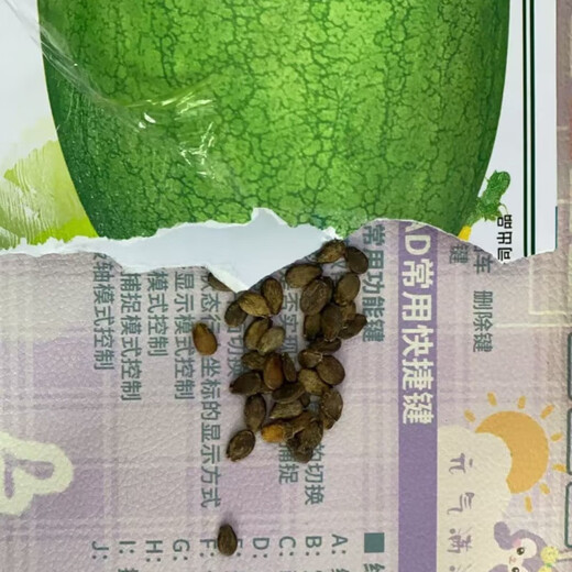 Xinhongbao watermelon seedlings, extra large, early-maturing, disease-resistant, green, extra large, sweet lazy watermelon seeds, giant watermelon seeds, A New Hongbao watermelon seeds, 5 packs