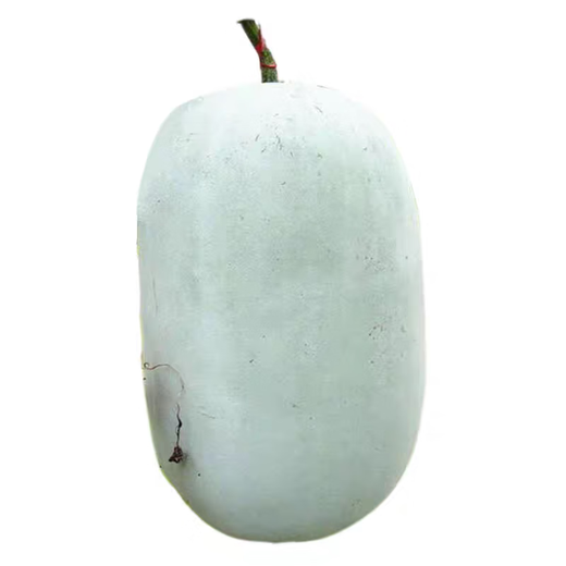 Local old variety short white haired winter melon seeds traditional large winter melon farm taste pink skin winter melon seeds 100 capsules