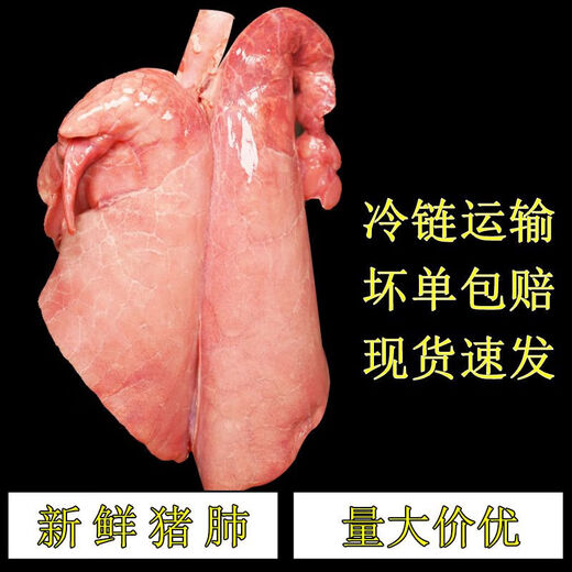 Fresh pig lungs, fresh ingredients, commercial pig offal, farmhouse free-range native pig pig lungs for hot pot, 2 pairs of high-quality food-grade pig lungs with tubes