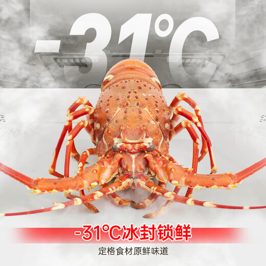 Rongsheng Cube Sugar 515L French-style multi-door refrigerator dual-system ultra-thin zero-embedded first-class energy efficiency automatic ice making World Cup customized refrigerator national subsidy BCD-515P60FZNAD Weaver White