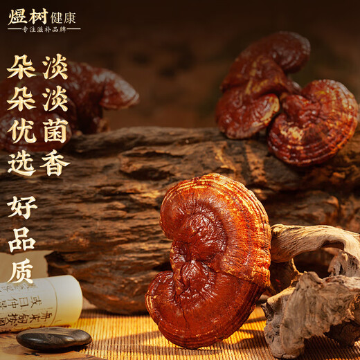
Yushu Ganoderma lucidum spore powder 50g Changbai Mountain native to Jilin Toudao good quality Ganoderma lucidum powder