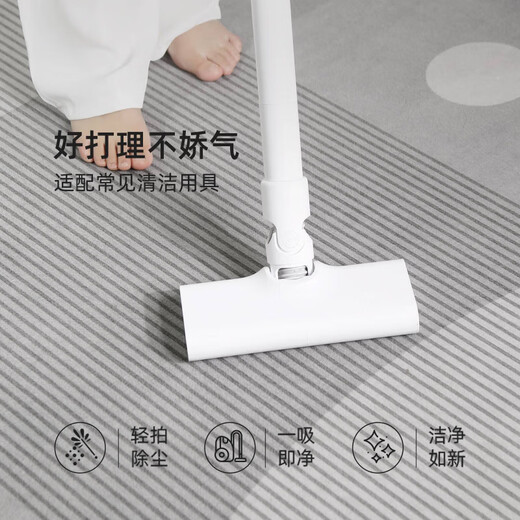 Tapis de salon wenshiou Pas de lavage et facile à prendre soin de style minimaliste 2025 Nouveau canapé de luxe clair